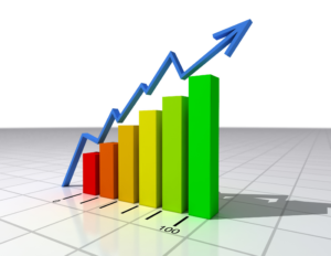 Brandeis Management Group Growth Chart